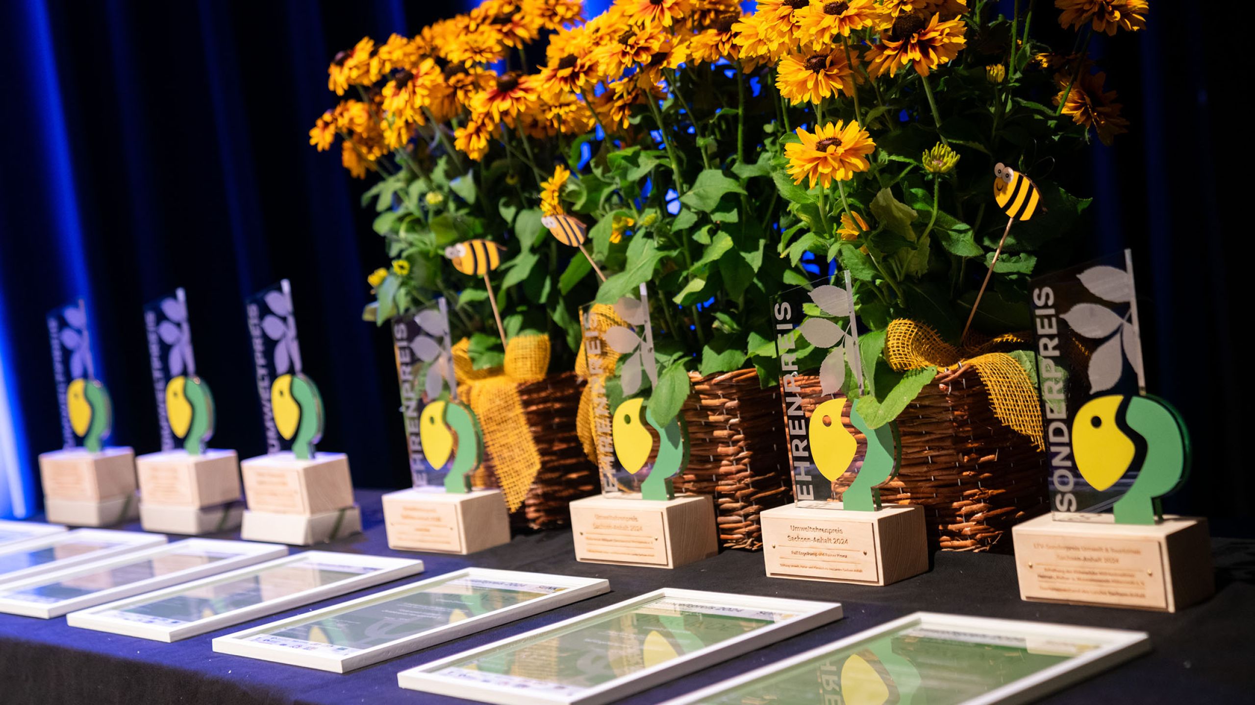 Umweltpreis Sachsen-Anhalt