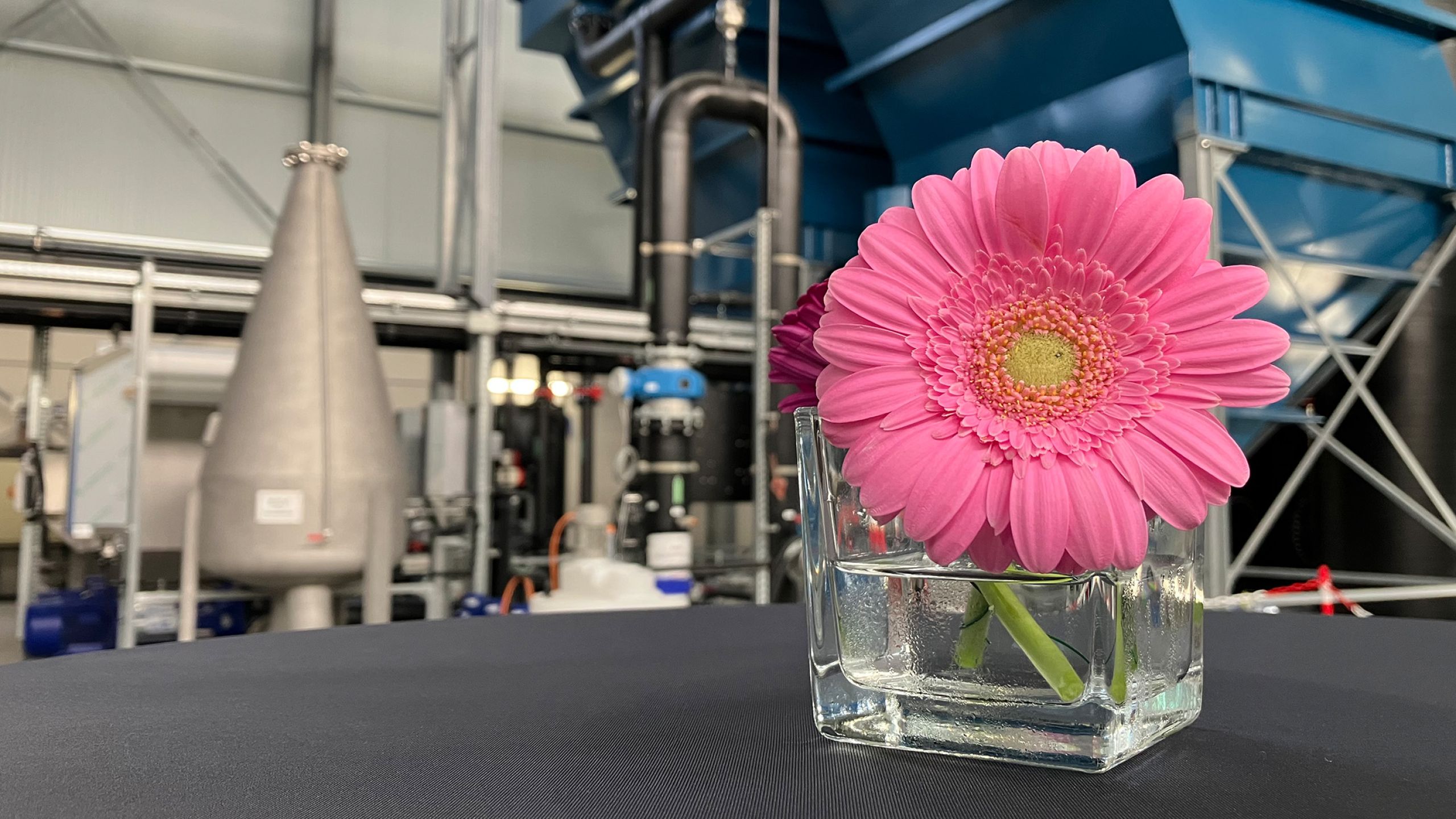 Pressemitteilung Helbra