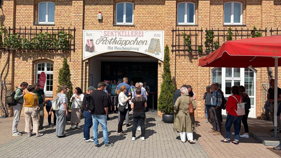 Sommerfest der MDSE 2026: Gemeinsamer Ausflug nach Freyburg mit Stadtführung, Erlebniswelt und Austausch.