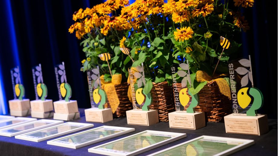 Umweltpreis Sachsen-Anhalt