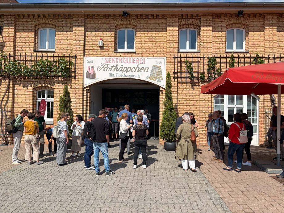 Sommerfest der MDSE 2026: Gemeinsamer Ausflug nach Freyburg mit Stadtführung, Erlebniswelt und Austausch.